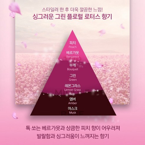 옷을 달콤하게 만들어주는 스타일러