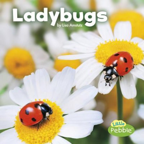 (영문도서) Ladybugs Paperback, Capstone Press, English, 9781515719410