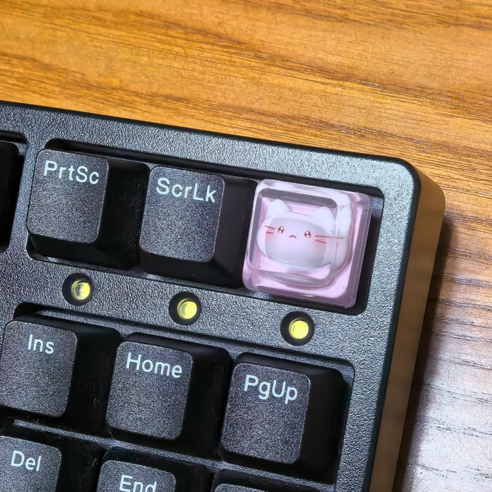 내 책상 위 작은 행복, 라나야 고양이 키캡으로 완성하는 특별한 공간