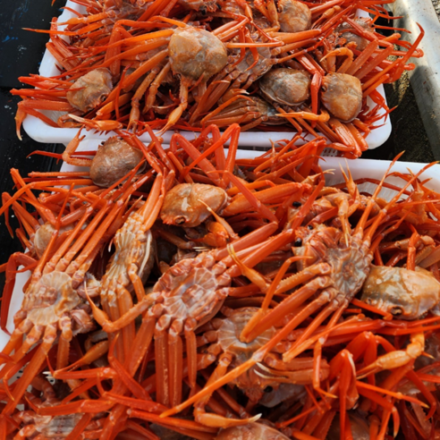 겨울, 붉은 홍게와 함께 따뜻한 식탁을