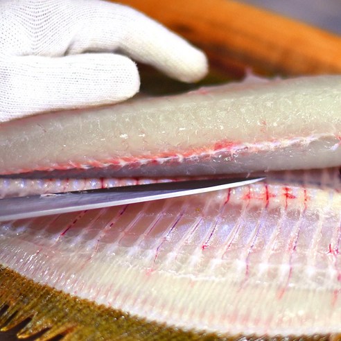 신선한 남해안 해산물의 맛을 집에서 즐기는 남해안 활어 모둠회