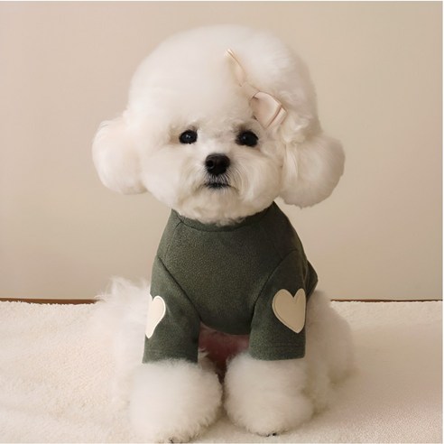 댕미오 강아지 순면 내복 실내복 잠옷, 1개, 그린