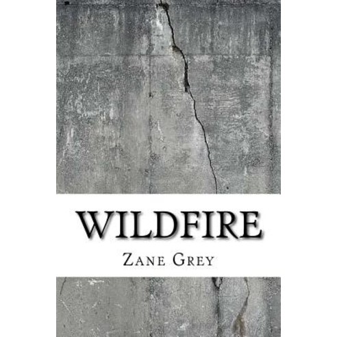 Wildfire Paperback, Createspace Independent Publishing Platform