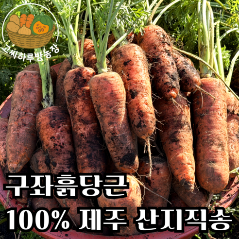 [고씨하루방농장] 제주명품 햇당근 구좌흙당근