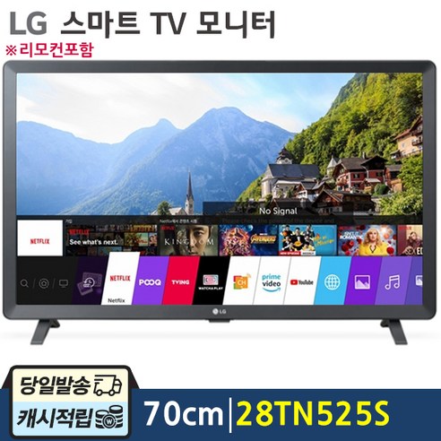 LG전자 70cm HD 스마트 TV 모니터, 28TN525S
