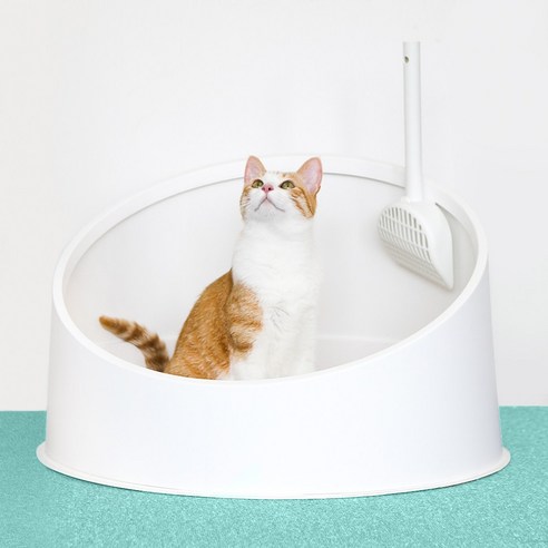 오블리크 고양이 화장실 대형 특대형 평판 원형 사막화방지 냥이화장실, 화이트