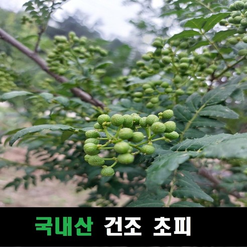 태양건조 초피열매 국내산, 1개, 100g
