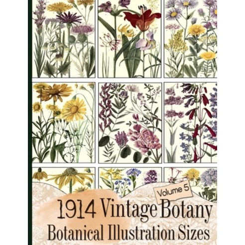 (영문도서) 1914 Vintage Botany Botanical Illustration Sizes Paperback, Independently Published, English, 9781086224139