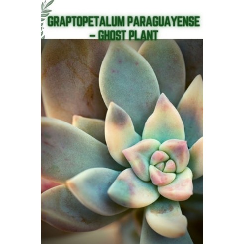 (영문도서) Graptopetalum Paraguayense - Ghost Plant: Become a professional Planter Paperback, Independently Published, English, 9798779814898