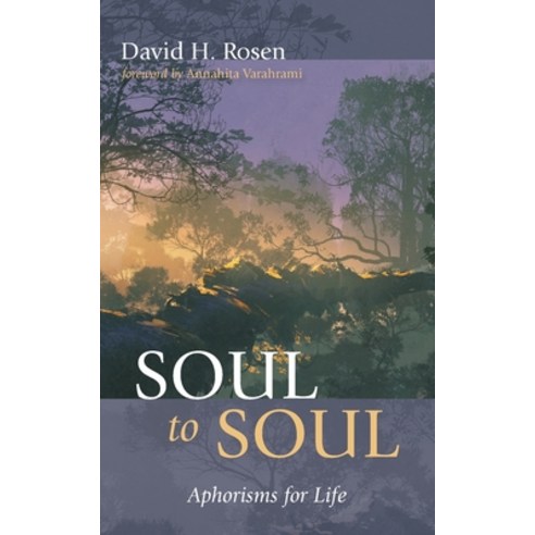 Soul to Soul Paperback, Resource Publications (CA), English, 9781725295735