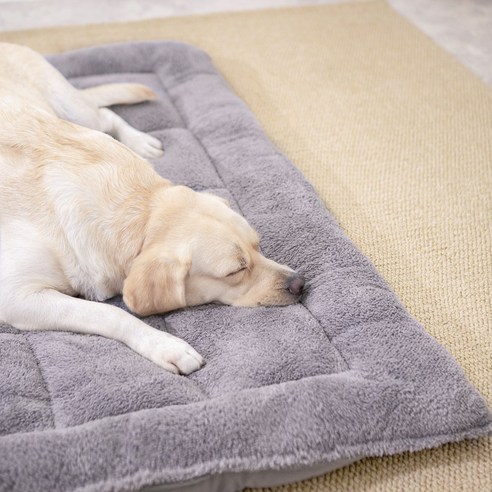 반려동물의 안락한 공간을 위한 최적의 선택