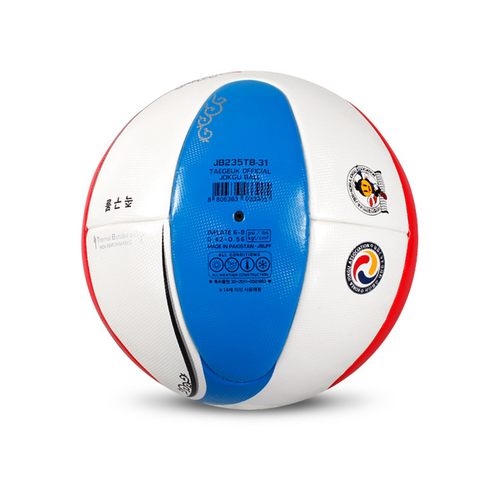 발로 하는 즐거움, 스타 태극 족구공