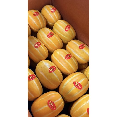 성주꿀참외 산지직송 당도선별 꼬마과 2kg ~ 5kg, 3kg/꼬마과, 1개