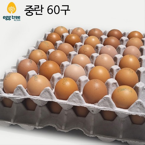 계란  [어린 닭이 낳아 더 야무진 햇달걀] 에그트리 생계란 중란, 60구, 1개