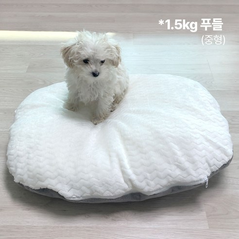 부드러움, 스타일, 편안함, 청소 용이성을 갖춘 와우독 강아지 극세사 커버분리 방석