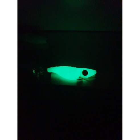 어둠 속에서 성공적인 밤낚시를 위한 필수품