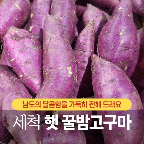 산지직송 24년 햇 황토 꿀밤고구마, 1개, 3kg 한입 (소)
