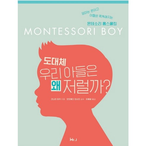 도대체 우리 아들은 왜 저럴까?:엄마는 편하고 아들은 똑똑해지는 몬테소리 홈스쿨링, 미스터제이