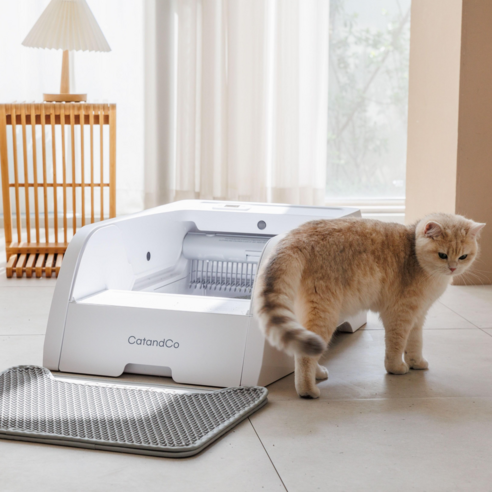 고양이 화장실 청소, 이제 냥집사의 숙제에서 해방될 시간!