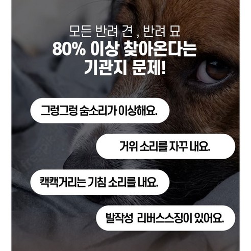 강아지 브레스 기도협착 호흡기 보조제
