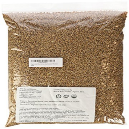 Non-gmo Certified Organic Hard Wheat Berries for Wheatgrass Juice - 5 Pounds Wheatgrass; Grind Into, 1개, 2.27kg