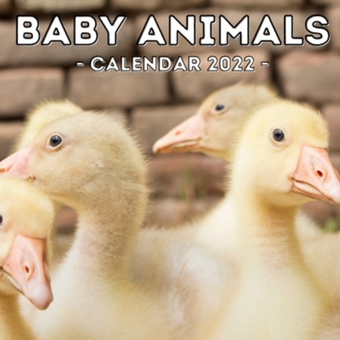 (영문도서) Baby Animals Calendar 2022: 16-Month Calendar Cute Gift Idea For Animal Lovers Women & Men Paperback, Independently Published