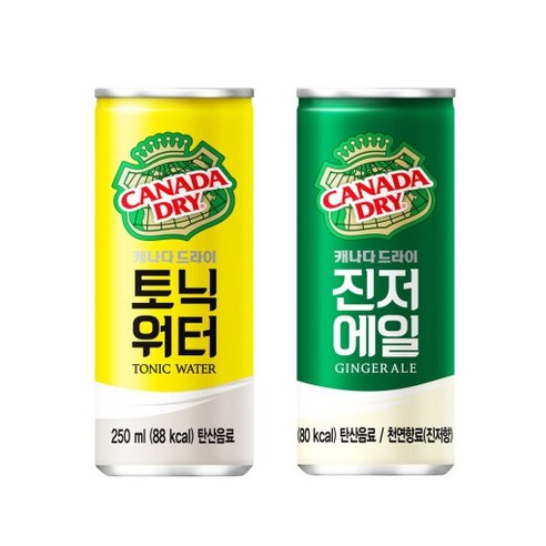 캐나다드라이 진저에일&토닉워터 250ml, 60개 Best Top5