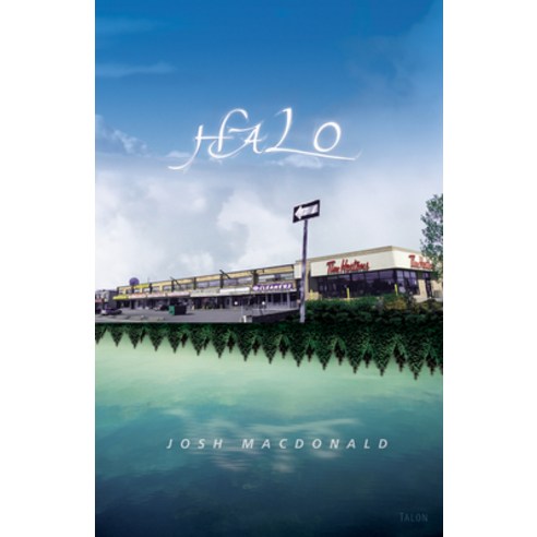 (영문도서) Halo Paperback, Talonbooks, English, 9780889224698 - 가격 변동 추적 ...