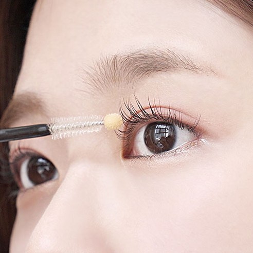 프리미엄 속눈썹과 눈썹 관리, 합리적인 가격