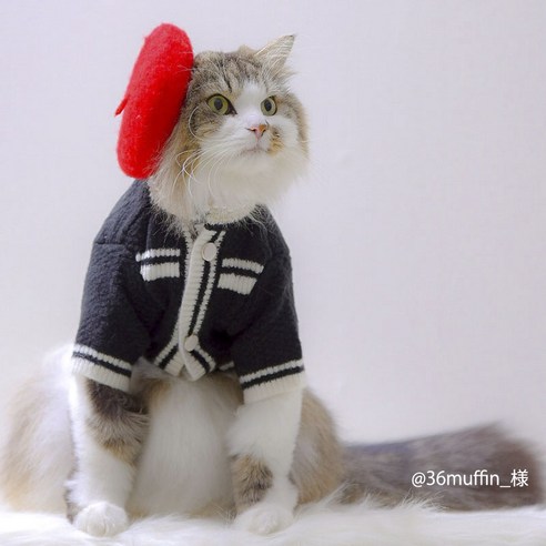 오네코사마 강아지 고양이 겸용 베레모, 레드, 1개