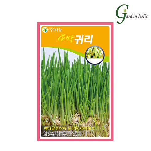 새싹 씨앗 귀리 30g 3개 새싹키우기 가정 베란다 식물 채소 재배, 1개