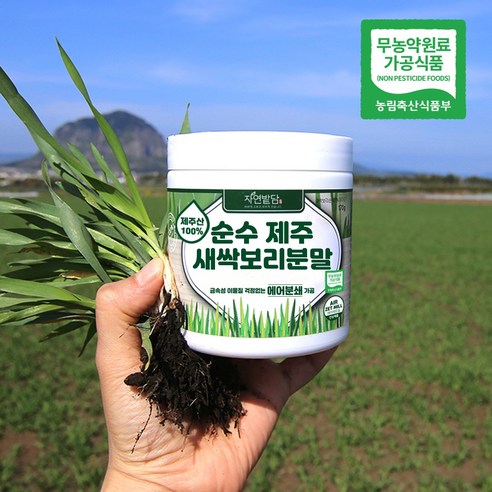 자연밭담 순수 제주 새싹보리 분말 에어분쇄, 170g, 2개