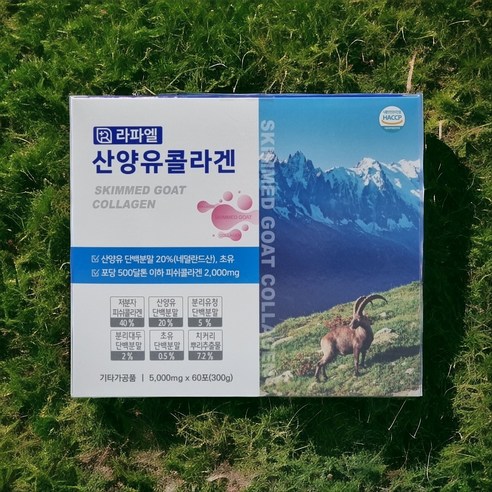 이뮨하우스 산양유 단백질 콜라겐 스틱 60포, 1개, 300g