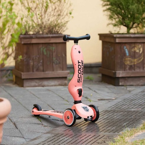 어린이 킥보드 아동 아기 씽씽카 씽씽이 스쿳앤라이드, 애쉬 (ash)