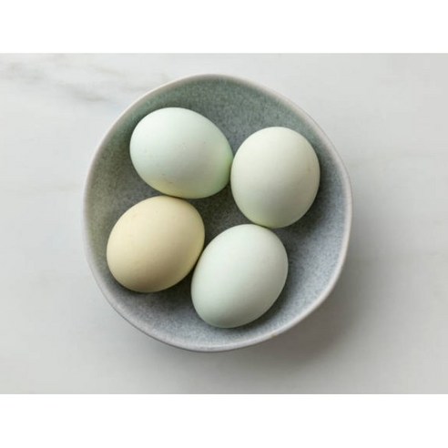 푸른 빛 행운, 매일 아침 당신의 식탁에 건강을 더하세요