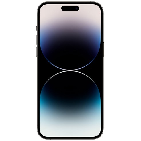 Apple 정품 아이폰 14 Pro Max 자급제, 스페이스블랙, 128GB