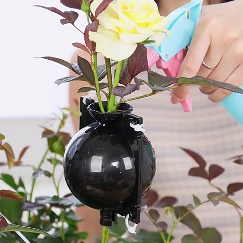 앙상한 가지, 취목볼로 싱그러움을 되찾다!