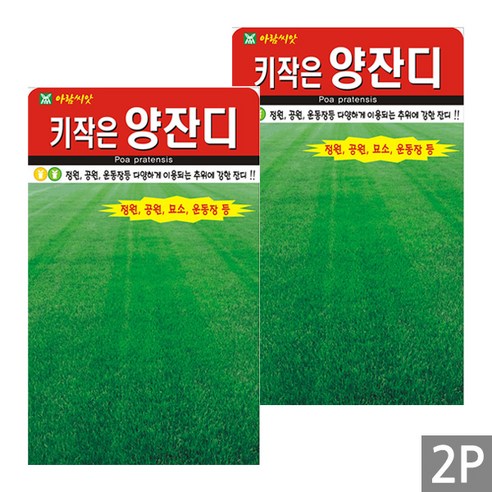 세인화분 키작은 양잔디 20g - 켄터키블루그라스 잔디씨, 2개