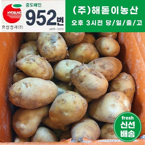 해돋이농산 국내산 강원도감자 햇감자 수미감자 대 특 왕특 3kg 5kg 10kg, 특(3kg), 1개