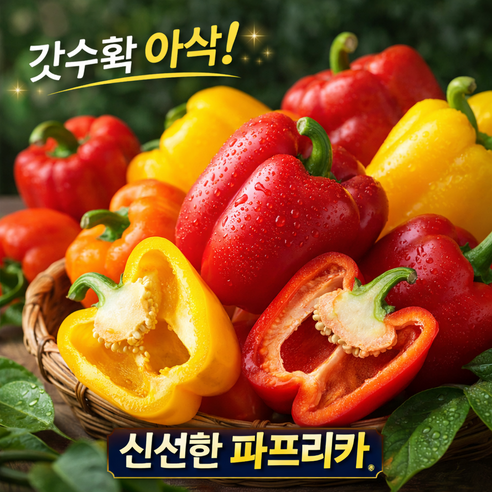[한정특가] 아삭신선 갓수확 파프리카 산지직송 혼합 파프리카
