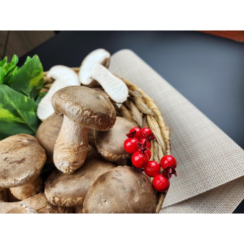 [더좋은버섯] 솔 송화버섯 국내 최대규모 솔송화버섯 알뜰(가정형) 500g 1kg, 500g, 1개