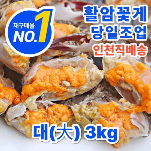 소담어반 서해안 활 생물 알배기 암꽃게 당일조업 산지직송