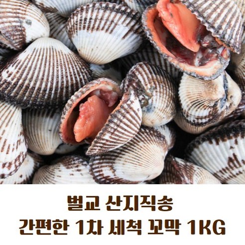 [국내산][산지직송] 1차 세척으로 편리한 벌교 세척꼬막 1KG 꼬막 당일채취 제철 특품 꼬막찜 꼬막무침 꼬막된장찌개 꼬막밥 꼬막비빔밥 꼬막냉채 꼬막전 꼬막취김 꼬막구이, 22mm, 1개