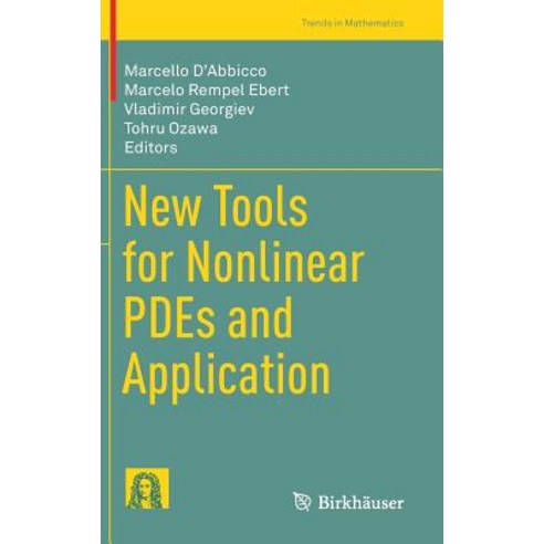 (영문도서) New Tools for Nonlinear Pdes and Application Hardcover, Birkhauser, English, 9783030109363