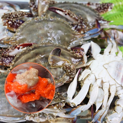 (당일조업)살아있는 연평도 활꽃게 햇꽃게 급냉꽃게, 2kg, 알꽉찬 급냉꽃게 8~12미, 암게, 1개