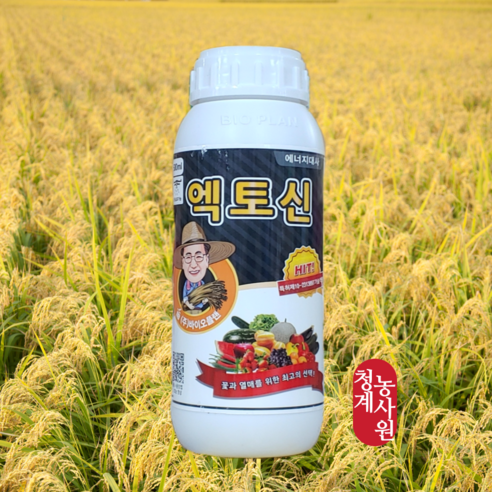 엑토신 500ml 벼 밀 콩 수량증대 자가수정촉진 증량 꼬투리증가 - 식물영양제 | 쿠팡