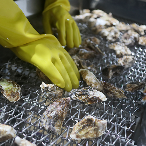 맛있는 해산물을 위한 최고의 선택: 장보고닷컴 통영 각굴 석화