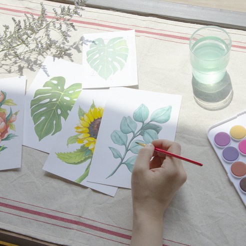 솜씨키트 수채화 식물그림 컬러링 미술 DIY 키트