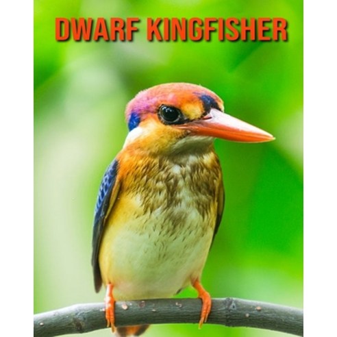 (영문도서) Dwarf Kingfisher: Amazing Photos & Fun Facts Book About Dwarf Kingfisher For Kids Paperback, Independently Published, English, 9798515340896