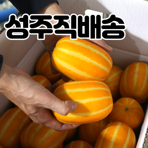 내고향농수산 참외 성주참외 직거래 꿀참외 특등품 2kg 3kg 5kg 10kg, 성주 참외 3kg, 1개 Best Top3